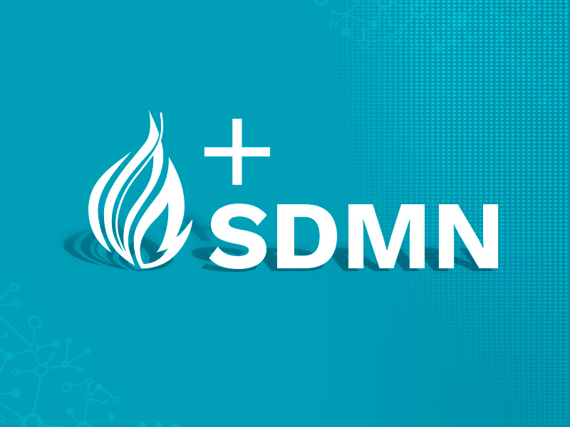 Dr. John Svirbely's blog post - Getting FHIRed Up with SDMN